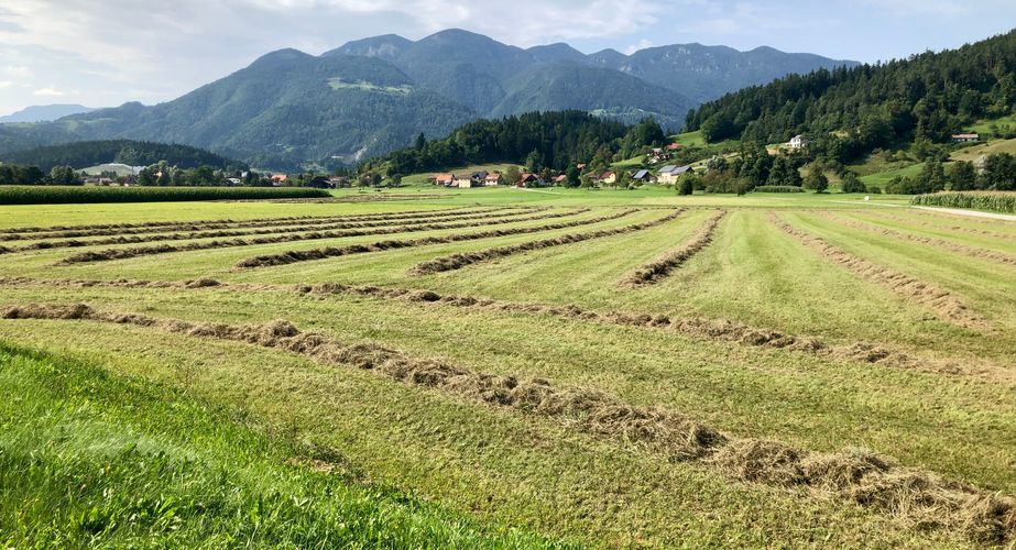 Natuur Slovenie Natuur Slovenie